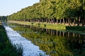 Baum Mecklenburgische Seenplatte SAM_3222 als Smart-Objekt-1 Kopie